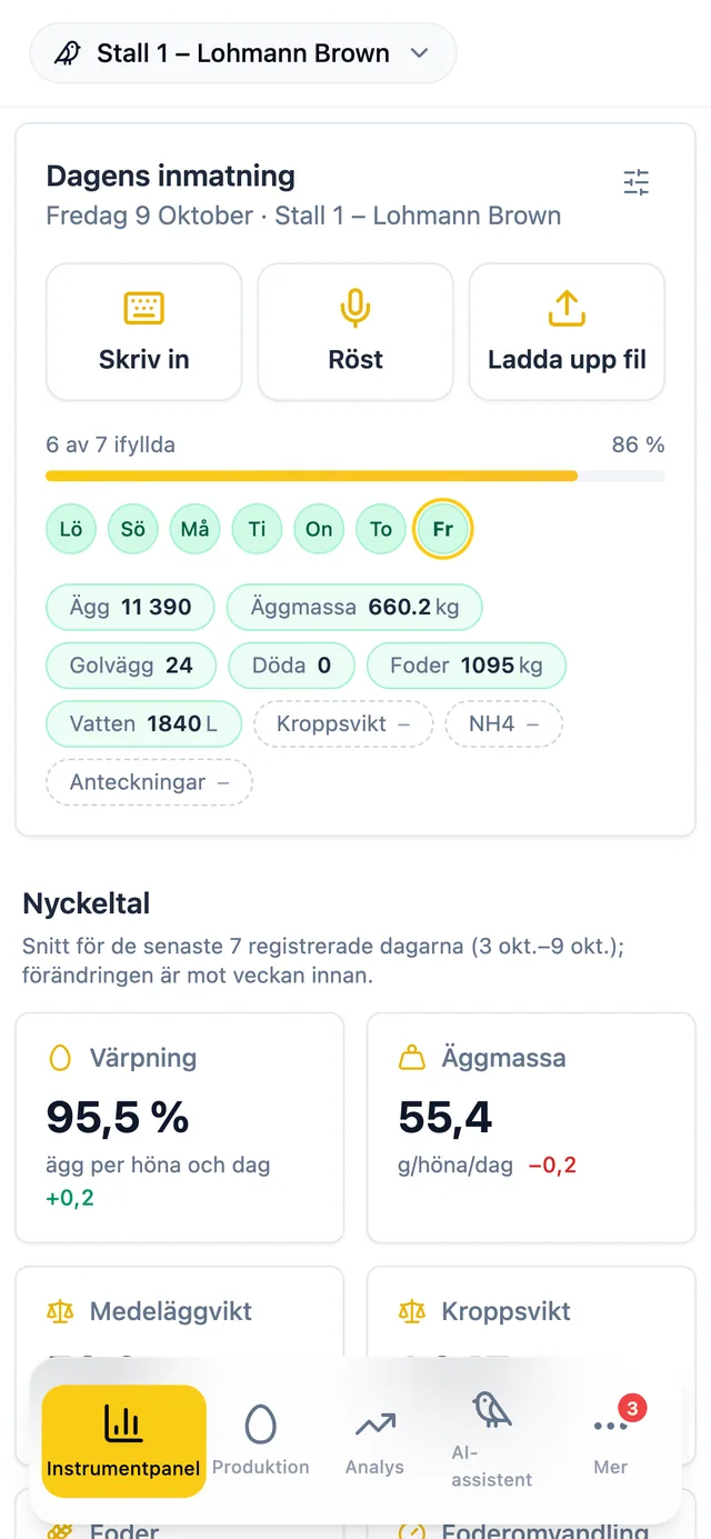 The Hen på mobilen med dagens gulvæg, døde, foder, vand og æg